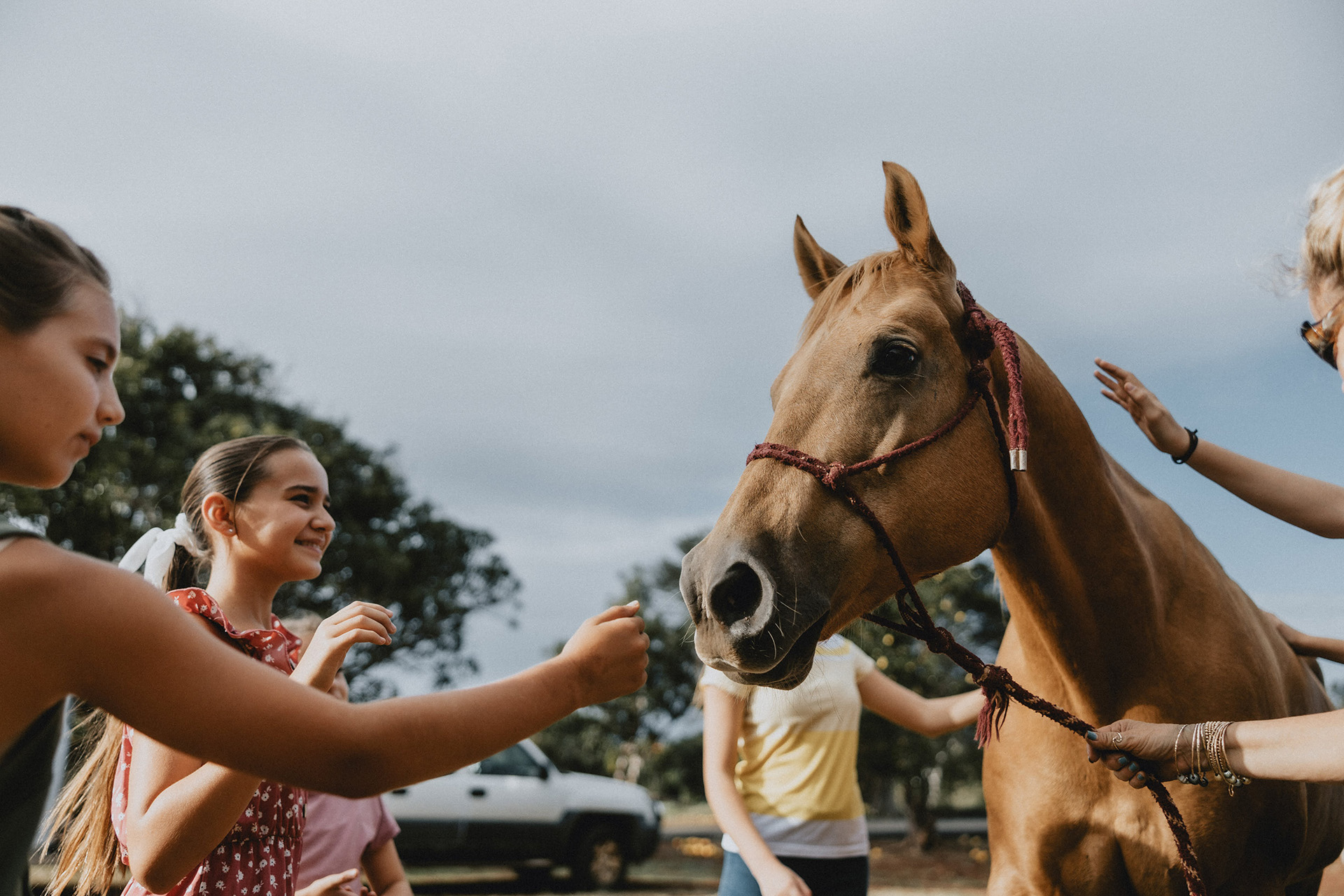 Participants pet a horse on the Pearl Haven property.